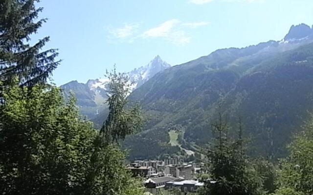 Appartement Chamonix-Mont-Blanc, 1 pièce, 3 personnes - FR-1-517-27