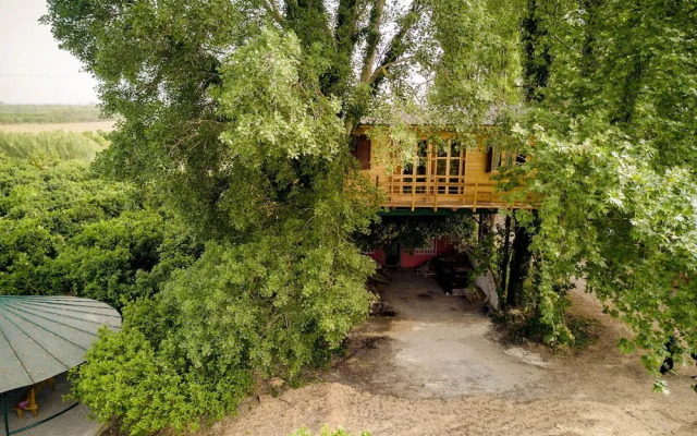 Orangia Ecohosting Farm