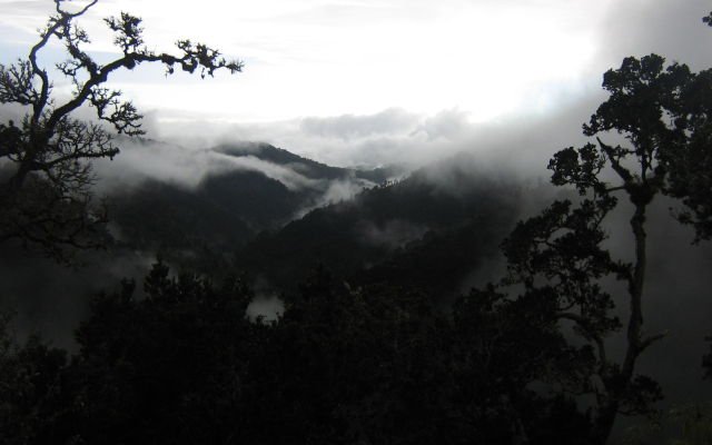 Dantica Cloud Forest Lodge