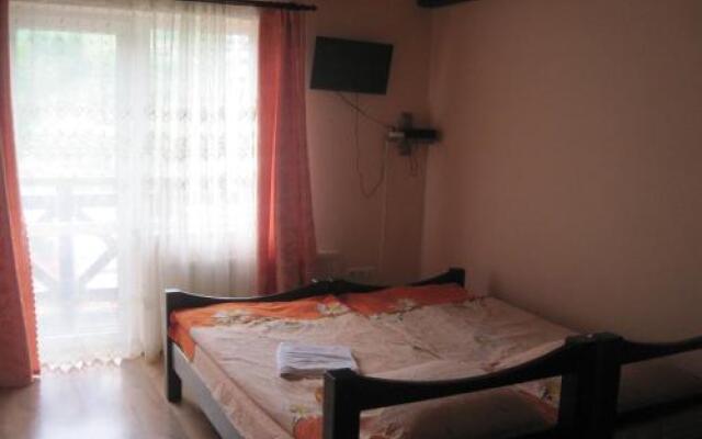 Guest House Stari Druzy