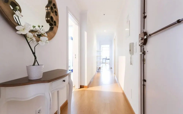Rato Elegant by Homing