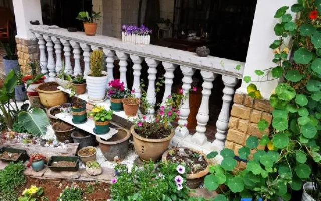 Wuchuan Dongshan Private Language Homestay