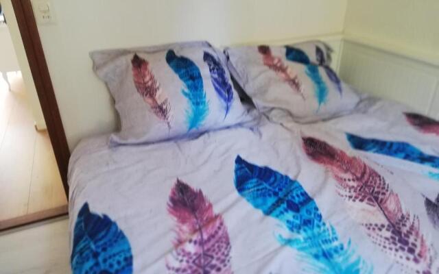 Roodborstje 4 persoonschalet Putten