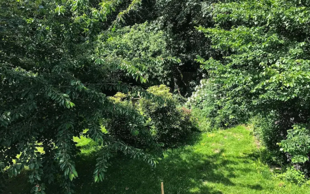 Idyllic Cabin Style House in the Heart of Sussex
