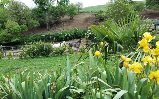 Agriturismo San Filippo