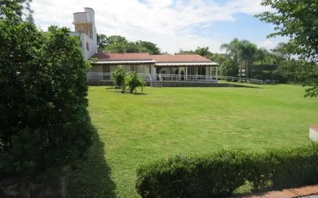Quinta Avril