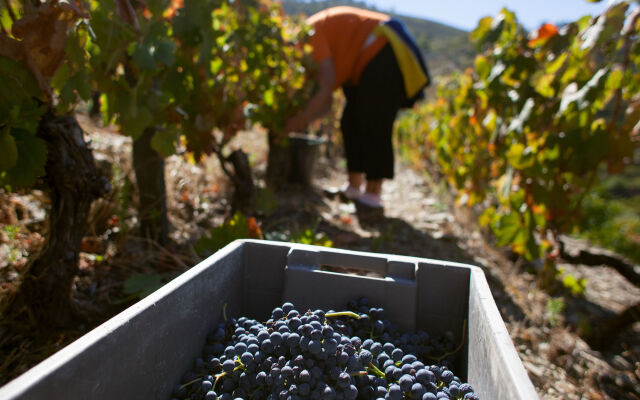 Hotel Rural Quinta do Silval