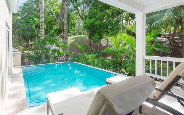 Lawson Rock - Parrotfish 106