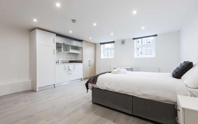 Studio Flat In Denmark Hill