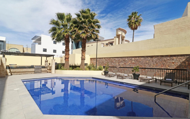 Hampton by Hilton Chihuahua