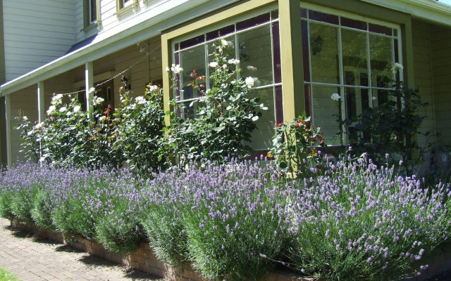 Tairoa Lodge & Cottage