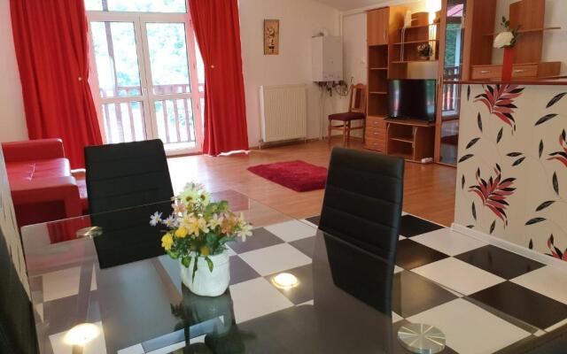 Sinaia Alex Apartments
