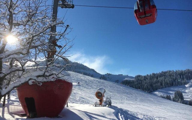 Bergviewhaus Apartments