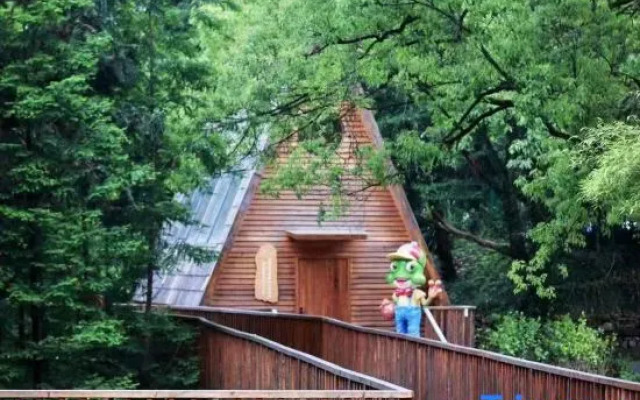 Tree Frog Resort Hotel