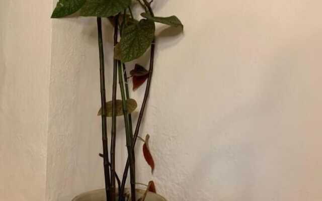 Casa Rural Sierra Tórtola 1