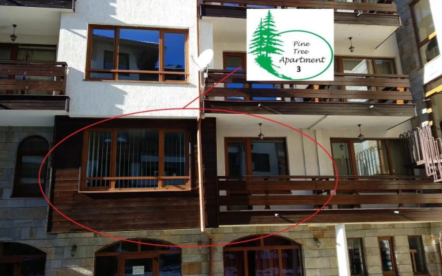 Pine Tree Apartment 3 - B3