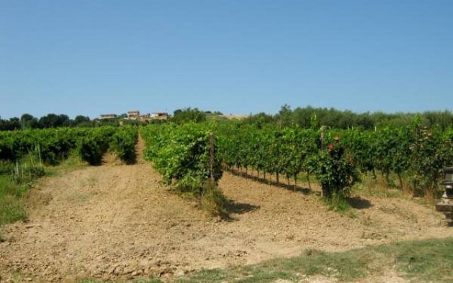 Agriturismo Le Vigne