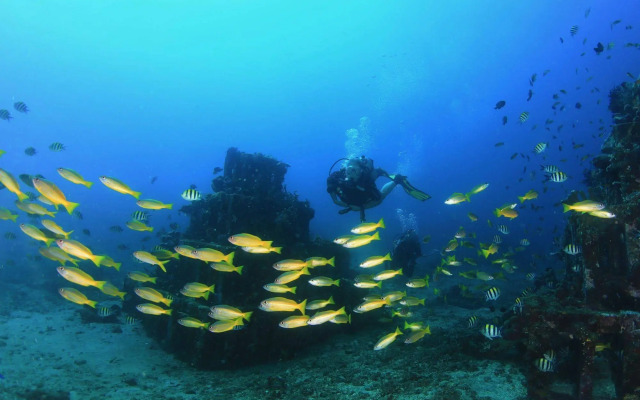 Minabali Bunga'lo