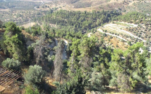 view haari
