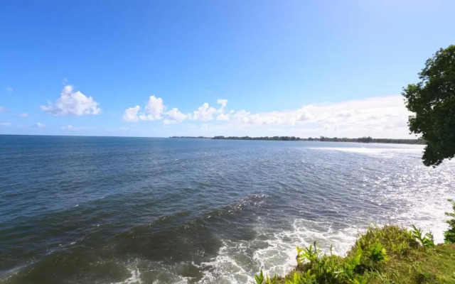 Hilo Bay Oceanfront B&B