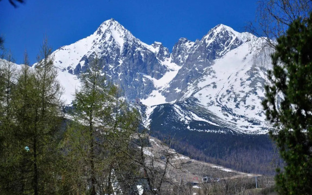 Vila Lomnička