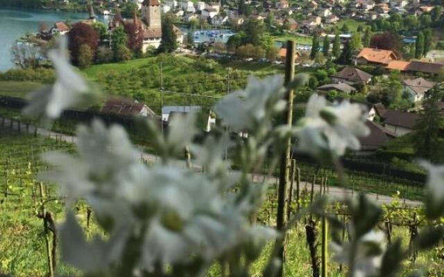 Lotschberg