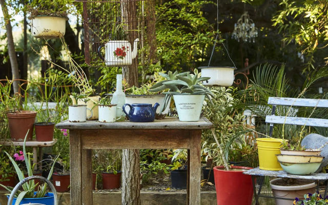 Yellow Aloe Guesthouse