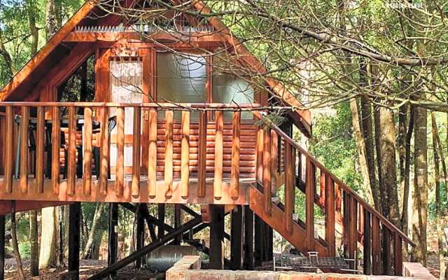 Plett Forest Cabins