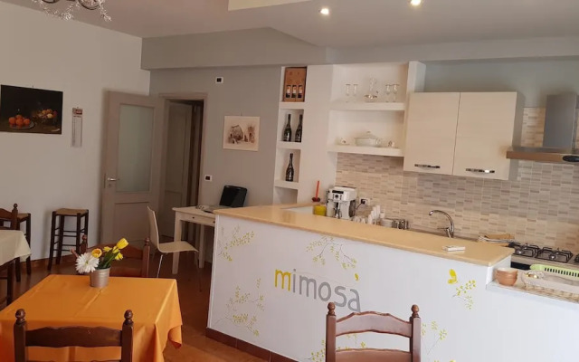 B&B Mimosa