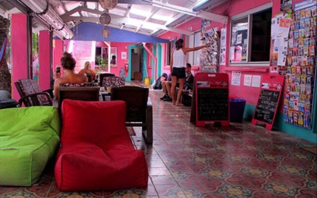 Dolphins Beach House - Hostel
