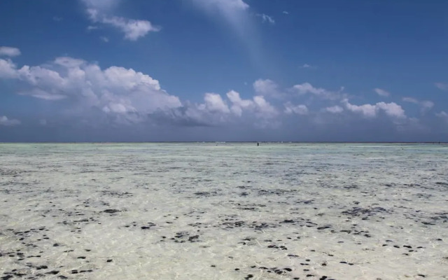 Ujamaa Beach Resort Zanzibar
