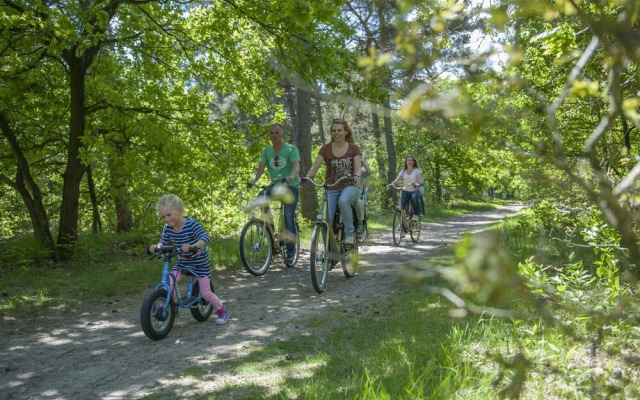 Forest Trails & Swimming Fun