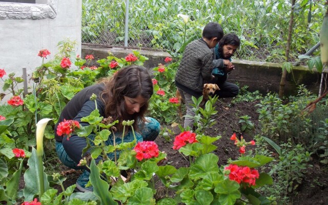 Green House Araque Inn.