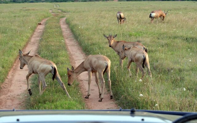 Bukela Game Lodge Amakhala Game Reserve