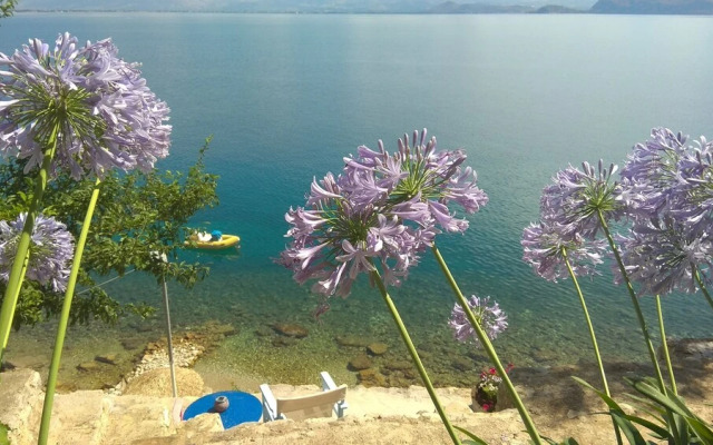 Linamare