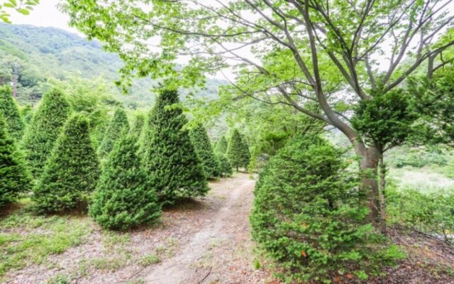 Danyang Moden Pension