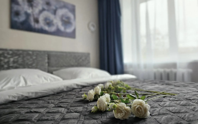 Live comfortably on Moskovsky Avenue