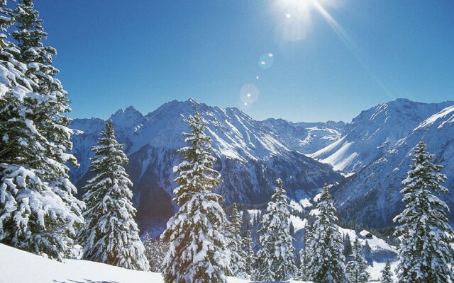 Welcoming Holiday Home in Ski Area in Bürserberg