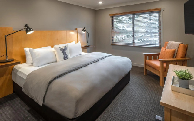 Buffalo Mountain Lodge