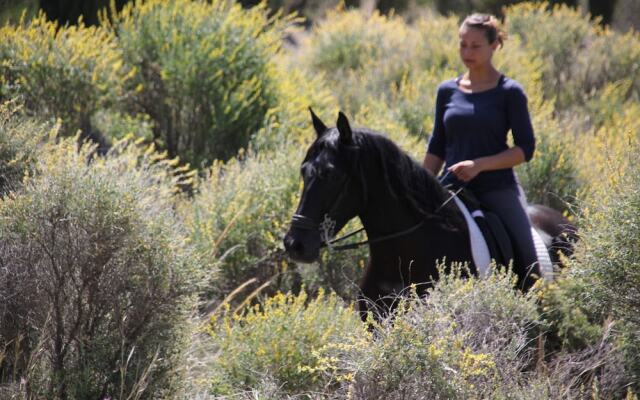 El Rancho La Paz