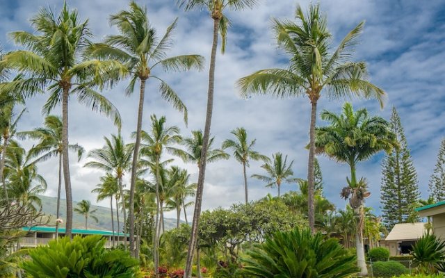 Molokai Vacation Properties – Wavecrest