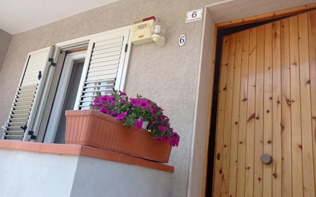 Fiori d Arancio in Avola