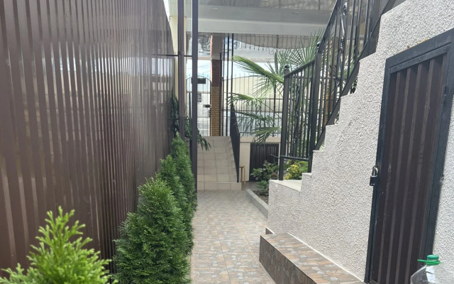 Дельфин-море (Сухум)