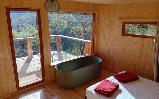 Hetre Sous Le Charme