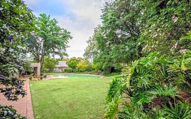 Wild Olive Executive Suite