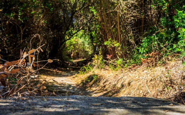 Porto Gerakas Villas & Apartments
