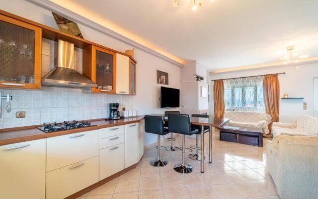 Panorama House Petritis