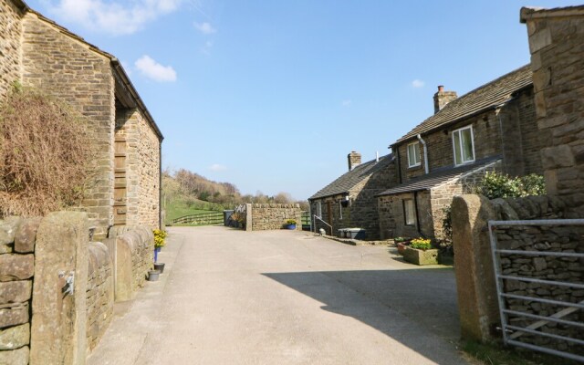 Meadow View