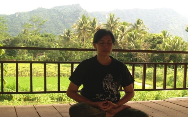 Mettaloka Guest House and Art Space