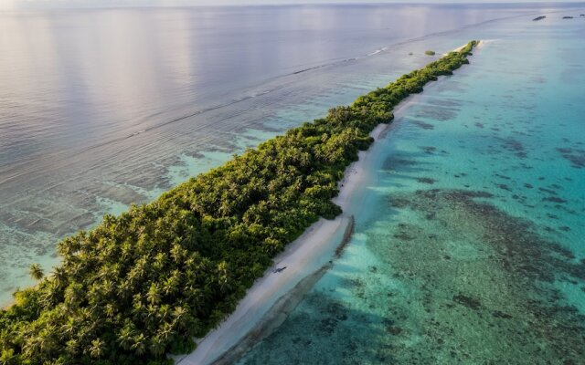 Whaleshark Beach